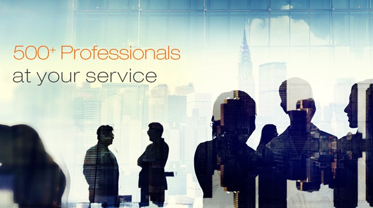 500 Plus professionals at your service - mobile