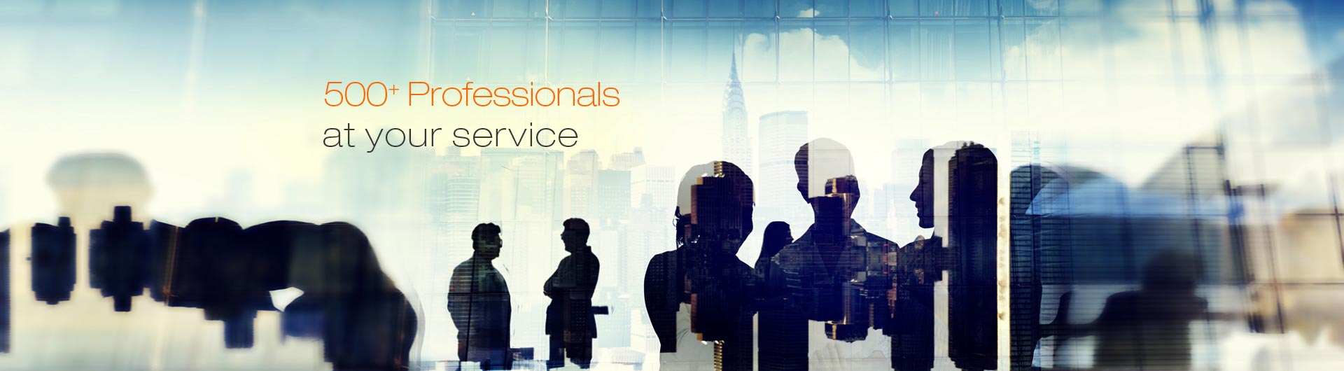 500 Plus professionals at your service